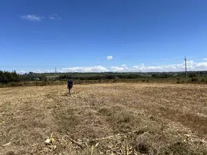 Ancilla Outspan 1/8th Plots
