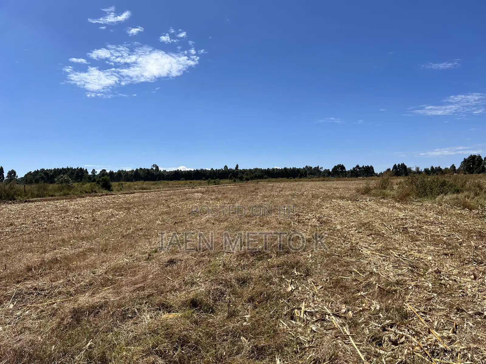 Ancilla Outspan 1/8th Plots