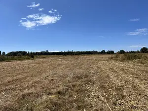 Ancilla Outspan 1/8th Plots