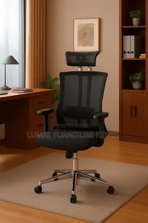 Ergonomic Directors Mesh Chair