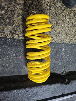 Rear Springs For Probox