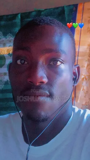 Hello Sir/Madam My Name Is Joshua Dindi and Am Looking for Any CV .