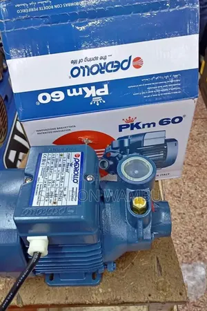 Quality 0.5hp Pedrollo Water Pump