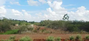 0.5 Acre Plots at Tatu City