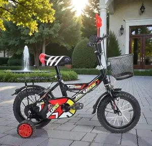 12,14,16 Inch 2–11 Years Kids Durable Frame Bike With Sparkle Paint