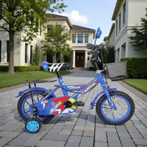 12,14,16 Inch 2–11 Years Children Kids Vibrant Cartoon Themed Bike