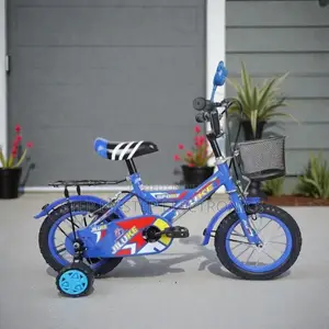 12,14,16 Inch 2–11 Years Children Kids Vibrant Cartoon Bike Low-Cost