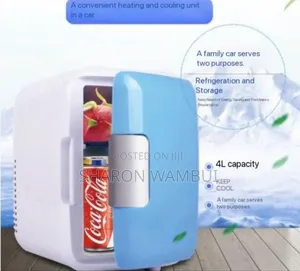 Portable Ac/Dc Car Fridge 4l Capacity/4l Car Fridge