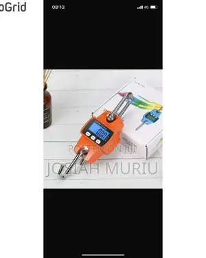 Heavy Duty 300kg Crane Scale