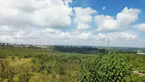 0.5 Acre Pieces of Land at Tilisi