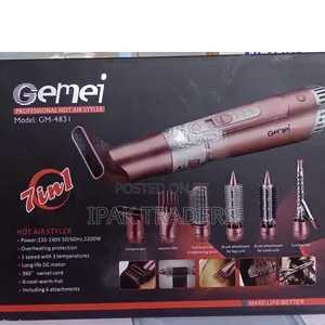 Gemei Professional Hot Air Styler 
Model:Gm 4831
1 Speed