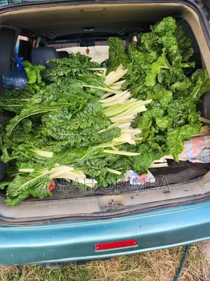 Vegetable for Sell