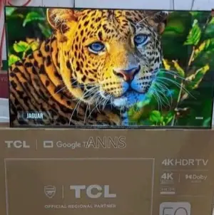 Usb Digital Media Player TCL 65 Inch Goggle Tv