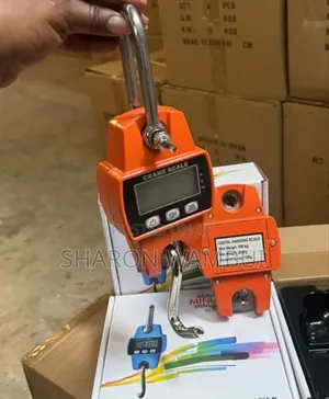 Quality 300kgs Mini Crane Scale/300kgs Mini Crane Scale