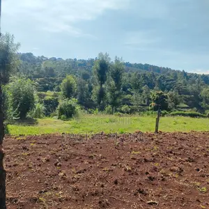 Residential Plot for Sale - Karen End