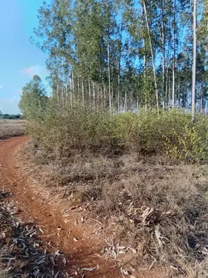 12 Acre Gems, Ongata Rongai, Opposite African Nazarene University