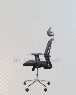 Premium Mesh Executive Seat | Ideal for Home Office