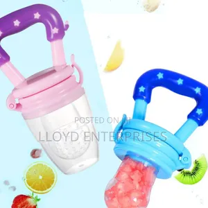 Baby Fruit Pacifier