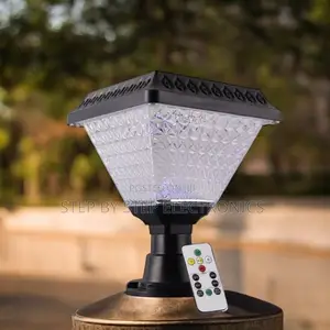 Outdoor Security Solar Garden Led Lights With Remote Control