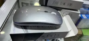 Silver Rechargeable Mouse.