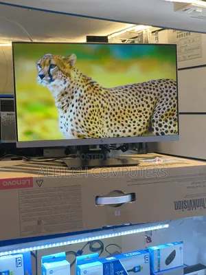 Hp Flameless Monitor E243d