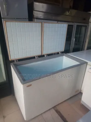 Double Door Freezer