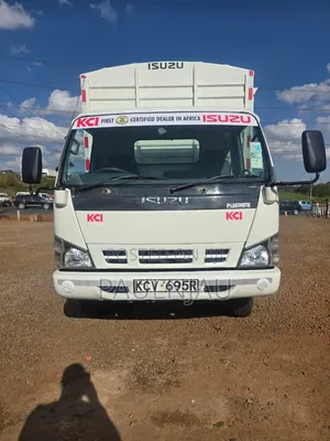 Isuzu NPR 2019