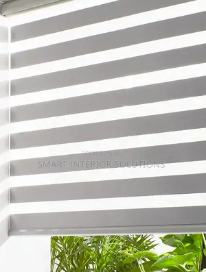 Modern Sheer Roller Window Blind