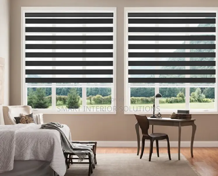 Soft Light Sheer Roller Window Blind