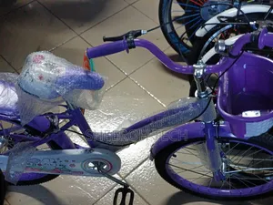 Purple Kids Bicycle