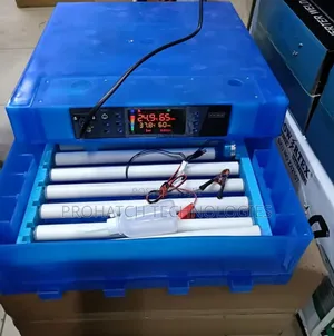 High Hatching Rate Ac/Dc Automatic Eggs Incubator 64 Eggs Capacity