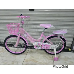 Pink Lady Bike Size 20