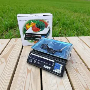 Enhanced Video Quality Acs 40 Digital Weighing Scale With Led Display