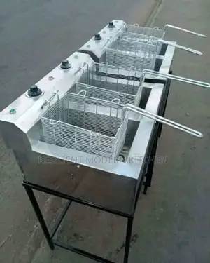 Locally Made Stainless Steel Double Electric Chips Fryer