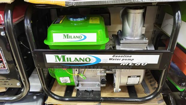 Milano Water Pump - main view
