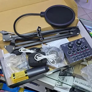 Live Sound Card, Adjustable Condenser Mic