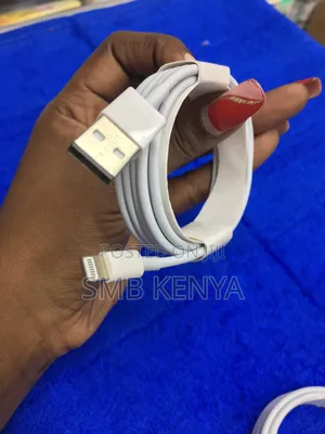 Usb A To iPhone Cable