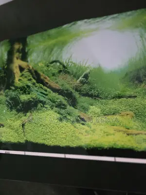 High-Quality Aquarium Backgrounds - Instant Tank Makeover