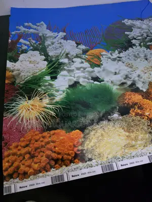 Deep Sea Blue Black Aquarium Backgrounds