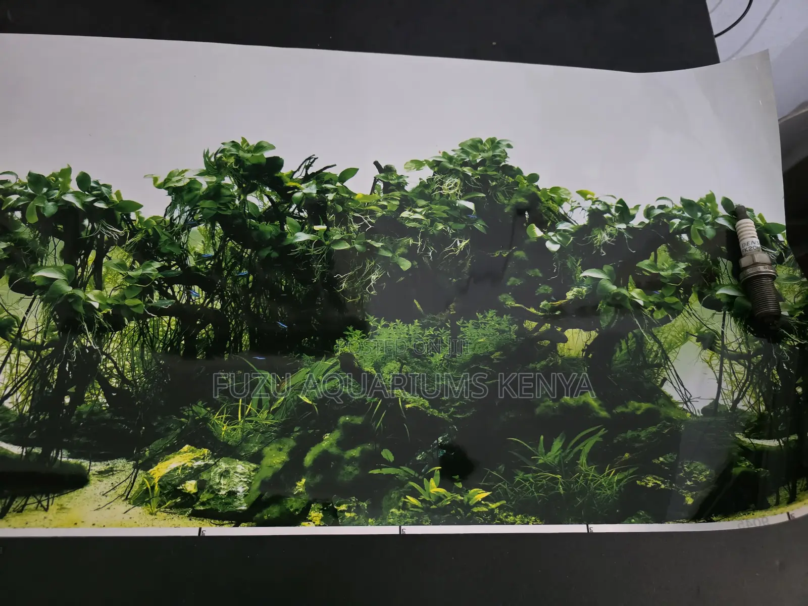 Double-Sided Aquarium Background (2 Designs in 1)