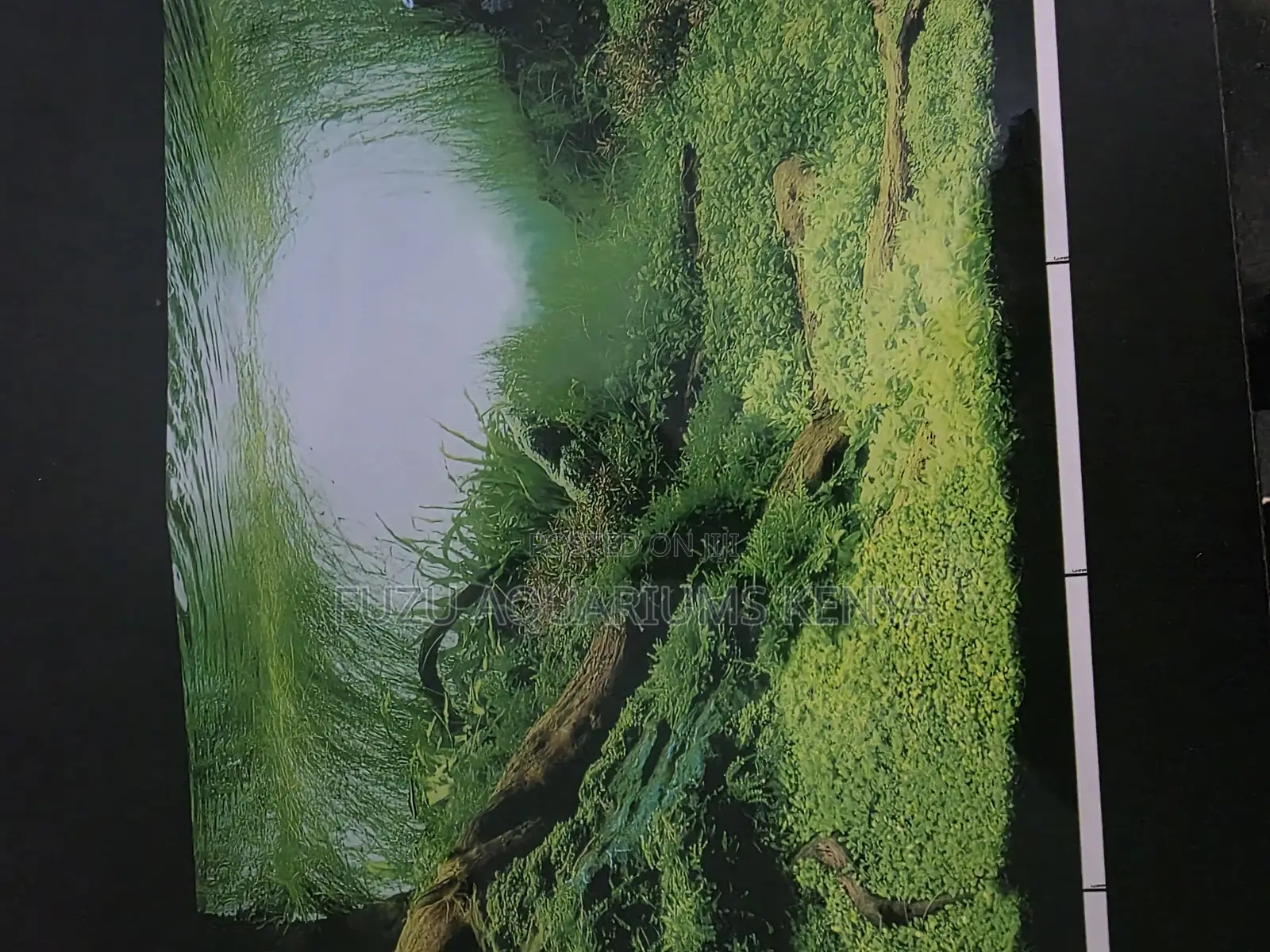 Lush Green Planted Tank Background Wallpaper