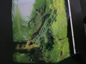Protective Aquarium Back Sheet - Reduces Algae