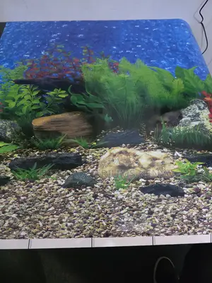 Custom Length Aquarium Backgrounds (Any Size)