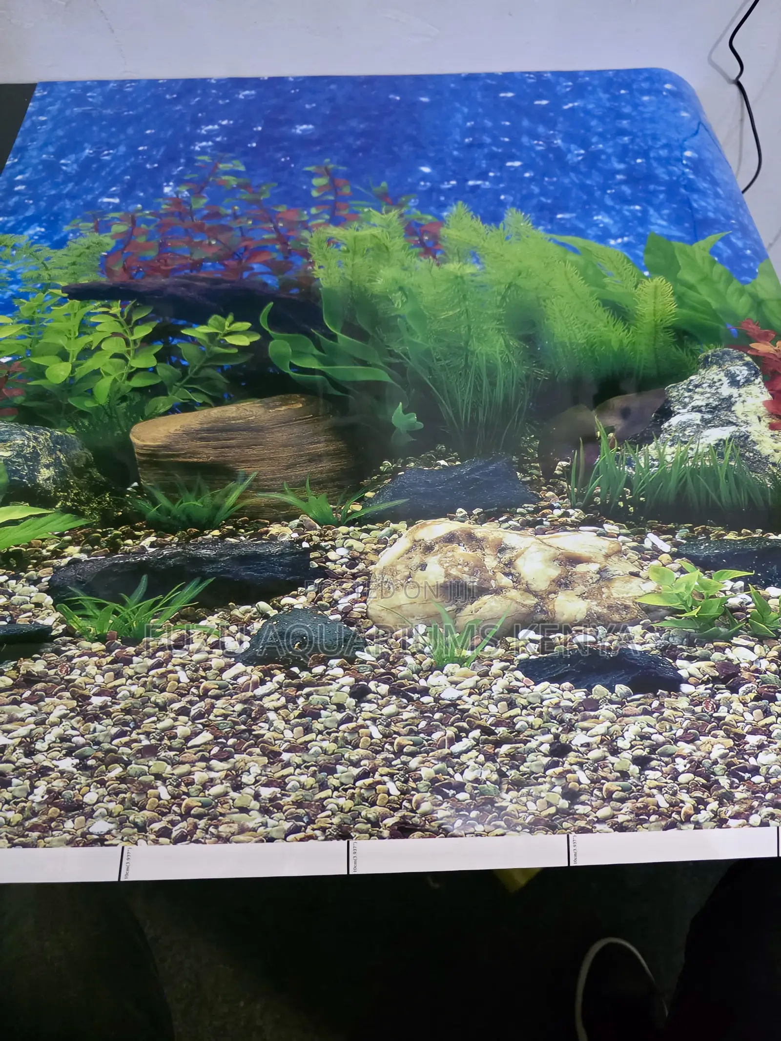 Mixed Variety Aquarium Background Rolls
