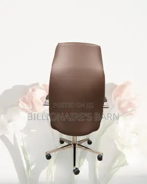 Home Office (Imported) Leather Chair Fast | Order Yours Today