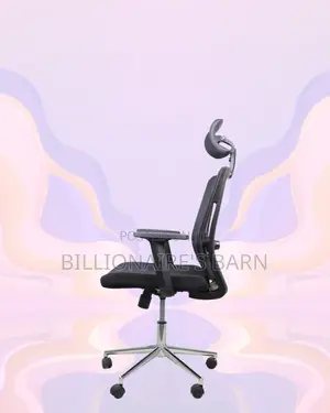 Office Mesh Chair With Lumbar Support | Modern Chrome Finish