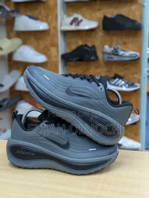Grey Nike Vamero Plus Men Running