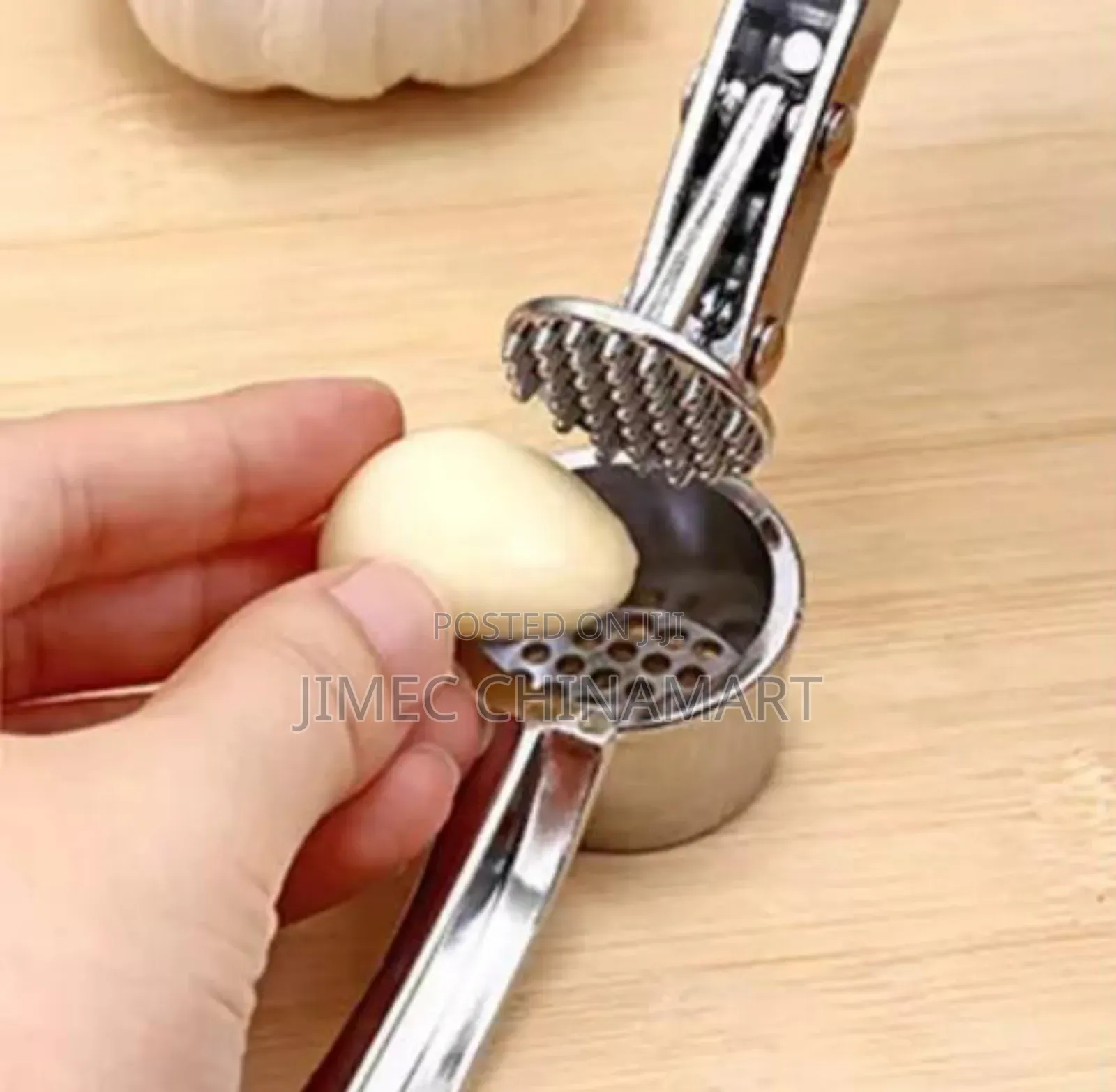 Stainless Steel Garlic Crusher