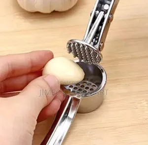 Stainless Steel Garlic Crusher