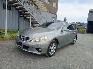 Toyota Mark X 2.5 RWD 2011 Gray